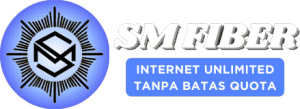 SM FIBER